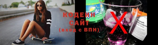 МДПВ Каменка