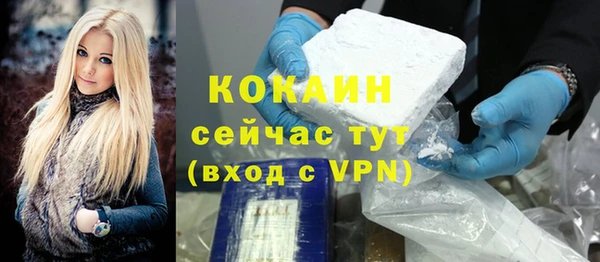МДПВ Каменка